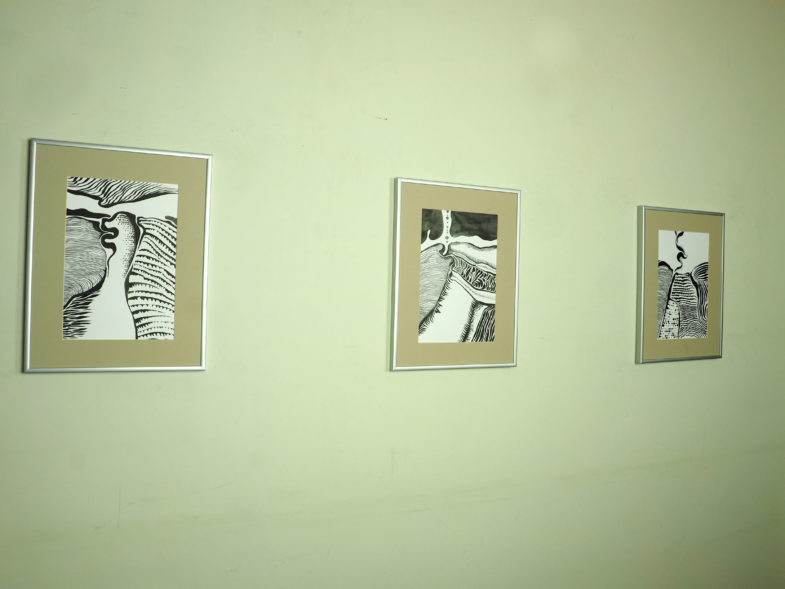 Jan Astner black and white drawings